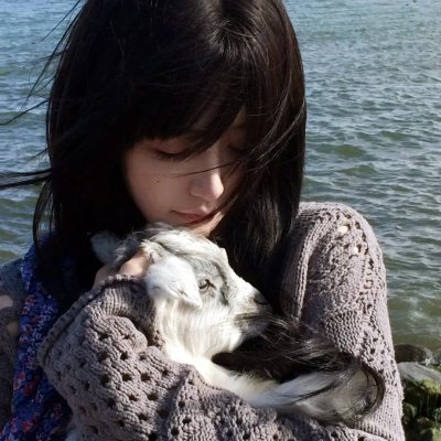 小病猫