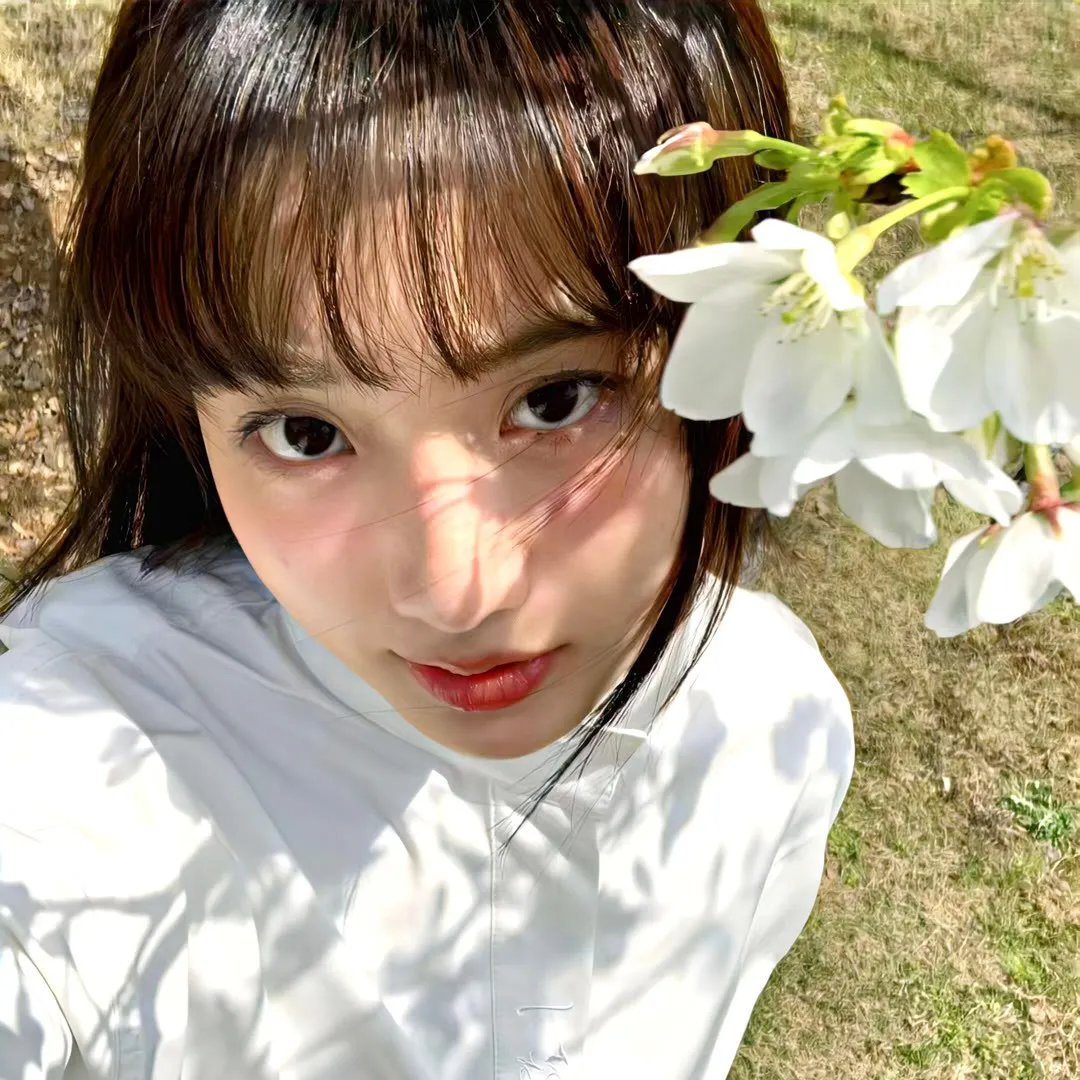 沙漠情深之五月花开